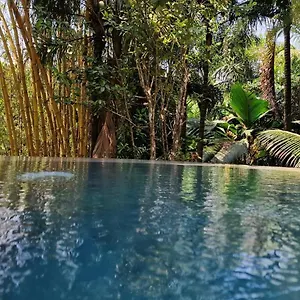  Chalet A Peace In Paradise